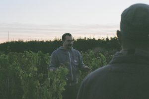 Le Sot de l'Ange | Vins Biologiques | Azay-le-Rideau